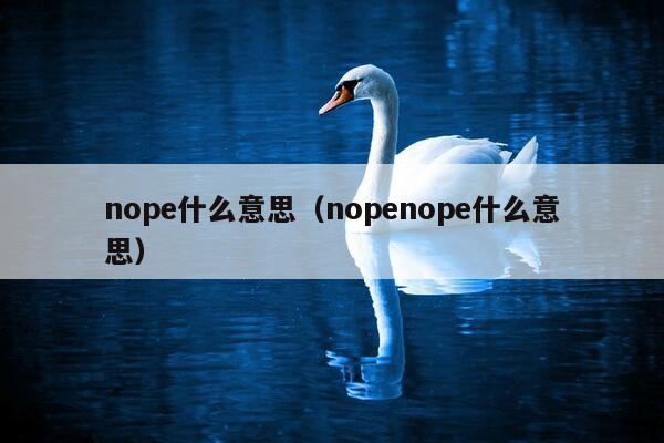 nope什么意思（nopenope什么意思）