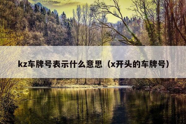 kz车牌号表示什么意思（x开头的车牌号）