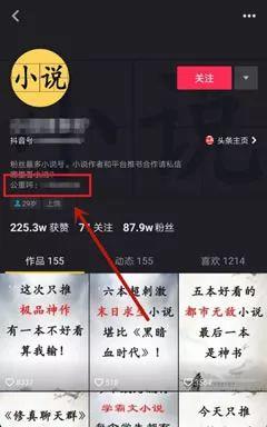 项目揭秘：公众号小说赚钱与推广的暴利玩法(干货)