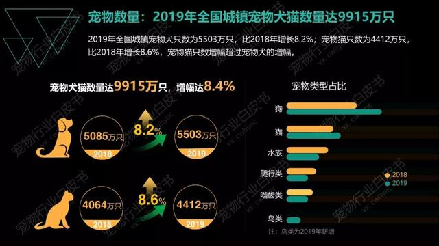 撸猫撸狗赚钱的暴利项目，月入10000+