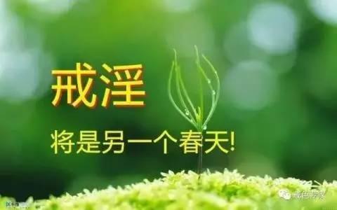 掌上生意经—偏门暴利项目—月入十万-2