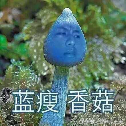 蓝瘦香菇是什么梗（朋友圈很火的蓝瘦香菇）