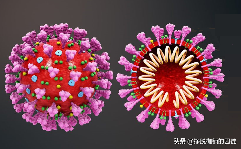 咽拭子阳性是什么意思？