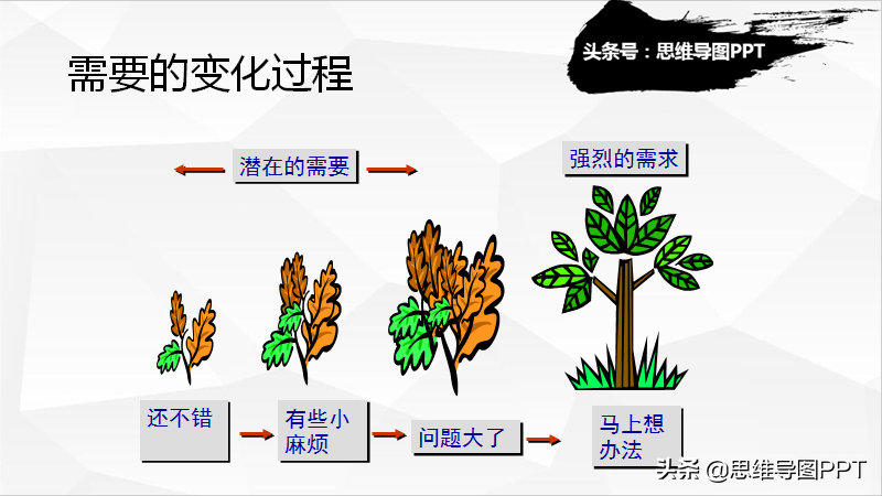 顾问式销售独门绝技：5步法提问，让客户自己说服自己购买产品