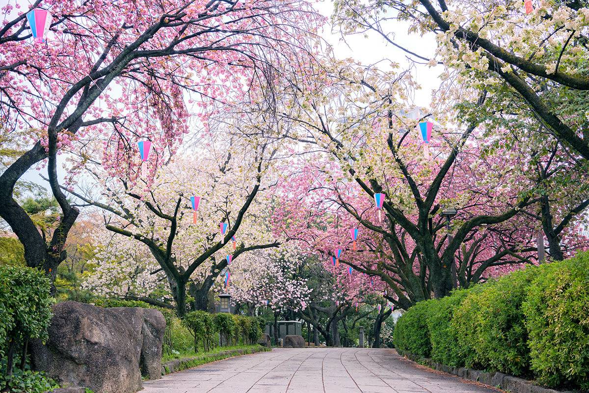 东京热门景点：12处日本旅游必打卡景点