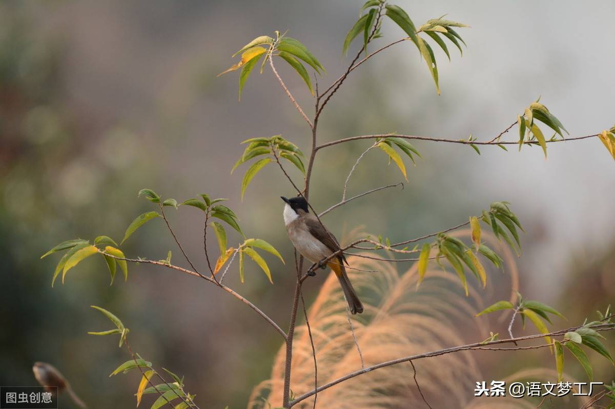 100句经典的人生哲理语录告诫你：你可以平凡，但不能平庸