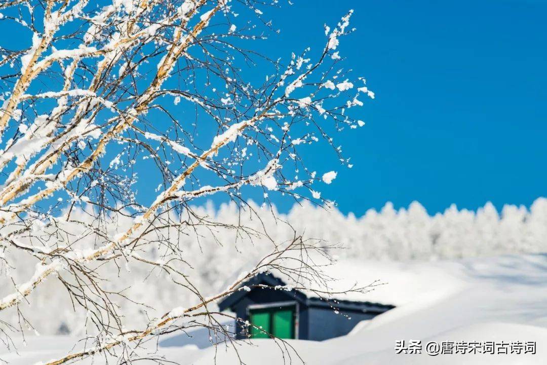 咏雪最好的8首诗词，藏着千古名句，哪一首才是你心中的第一？