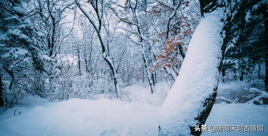 咏雪最好的8首诗词，藏着千古名句，哪一首才是你心中的第一？