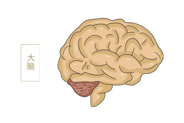 长出白发的原因是什么？避免接触这些因素，可以预防头发变白吗？