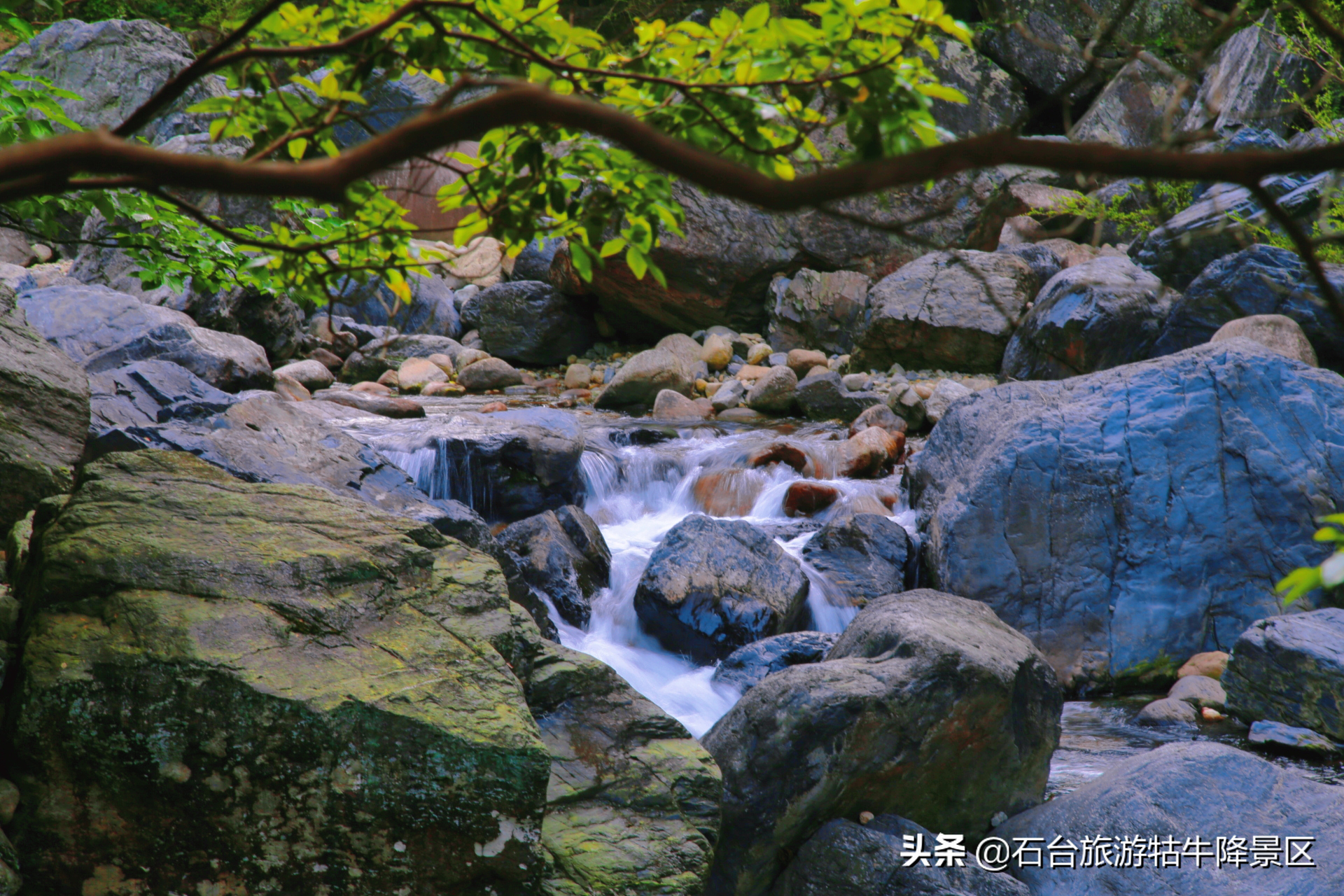 地震逃生小贴士