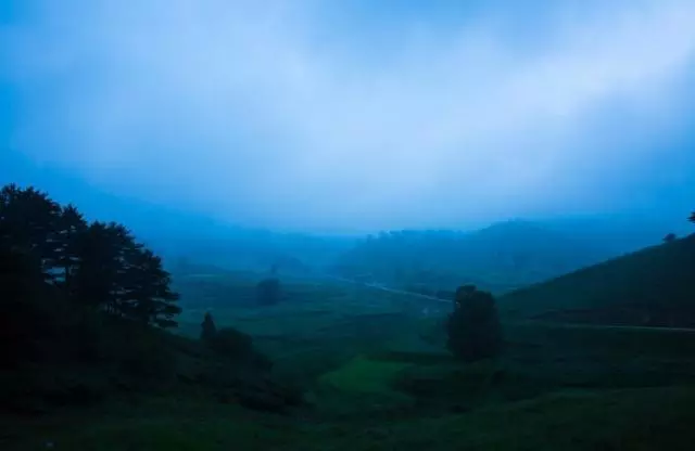 佛语禅心的个性签名，参透人生，让你拨开迷雾见晴天！