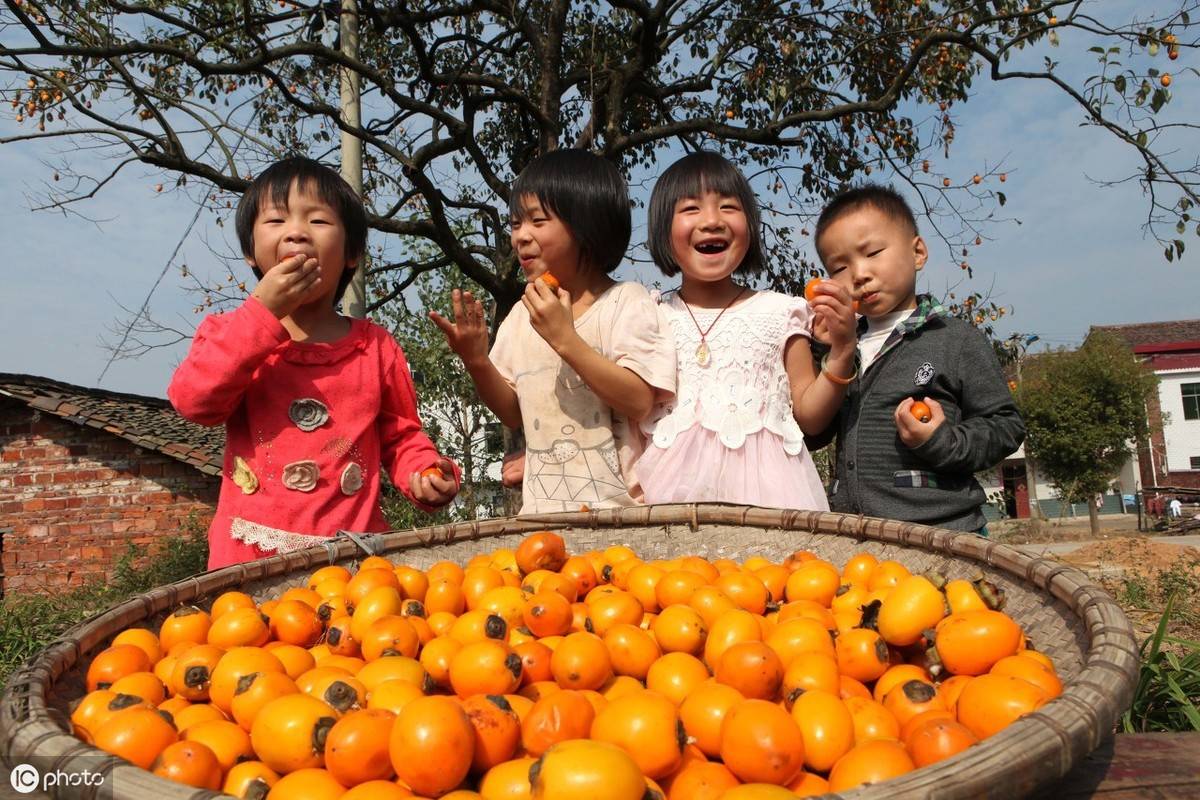 冬补不如霜降补 霜降养生该吃这些食物