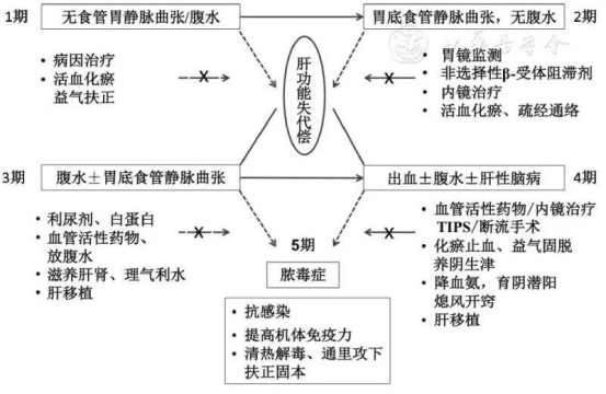 得了肝硬化还可以活多久？中医扶正补虚，有效控制肝硬化