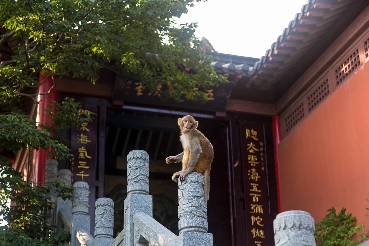 夏天来连云港游玩景点推荐