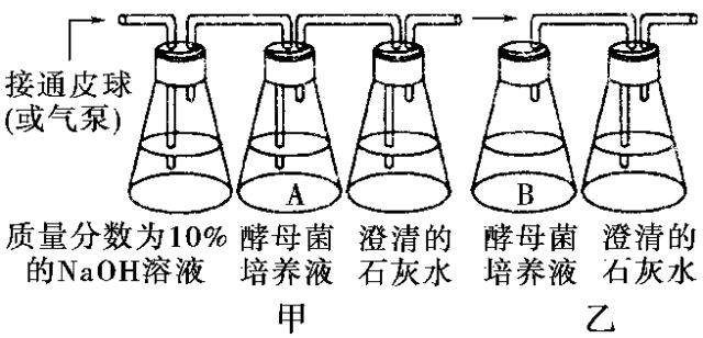 实用！高中生物20个实验重点知识汇总，考前一定看一遍！