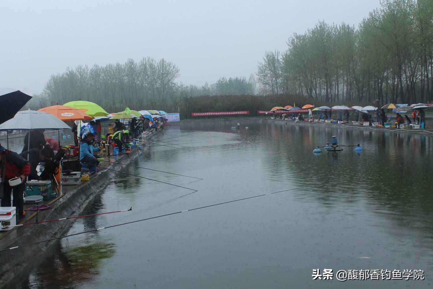 下雨天适合钓鱼吗？雨前、雨中和雨后哪个适合钓鱼？雨天钓鱼技巧