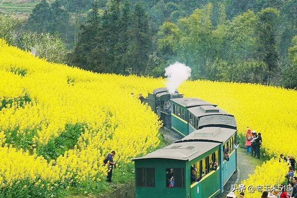 春季旅游攻略（春天最美的10条旅游路线）-32