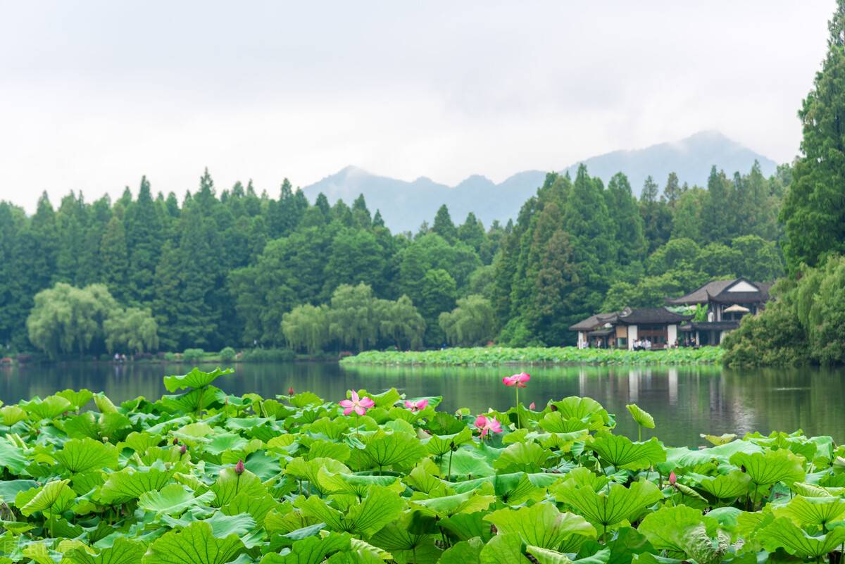 免门票的景区（国内这10个好玩又不收门票的5A景区）-4