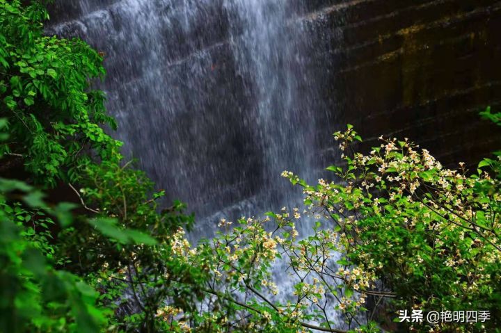 画眉谷图片（河南平顶山画眉谷）-15