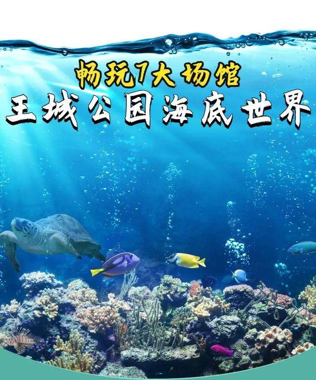 海底世界公园（洛阳王城公园海底世界，您来过吗）-1