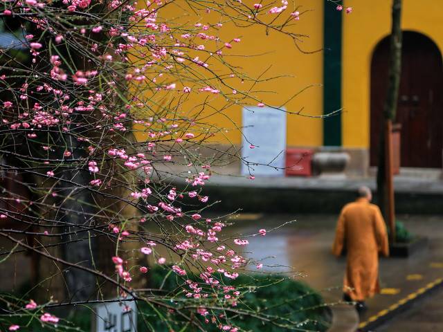 杭州哪里好玩（杭州旅游十大必去打卡景点）-17