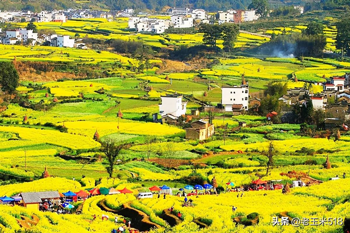 春季旅游攻略（春天最美的10条旅游路线）-29