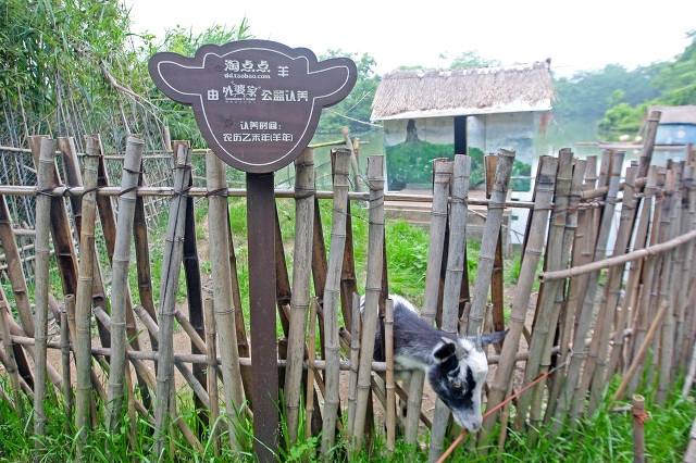 杭州哪里好玩（杭州旅游十大必去打卡景点）-28