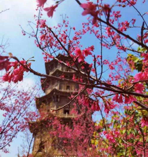 五一劳动节祝福(五一节快乐祝福语句子说说打油诗)-1