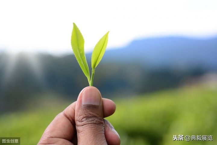 咖啡色的含义!(“颜色寓意”即不同颜色的不同寓意!)-4