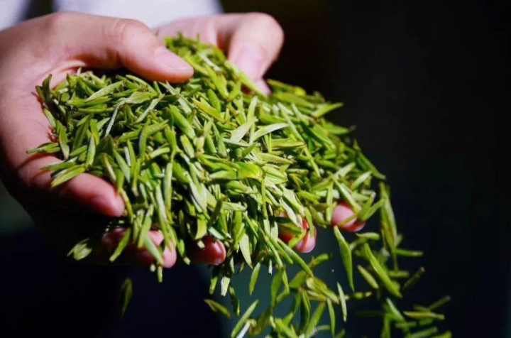 南京雨花茶（南京雨花茶的前生今世）-3