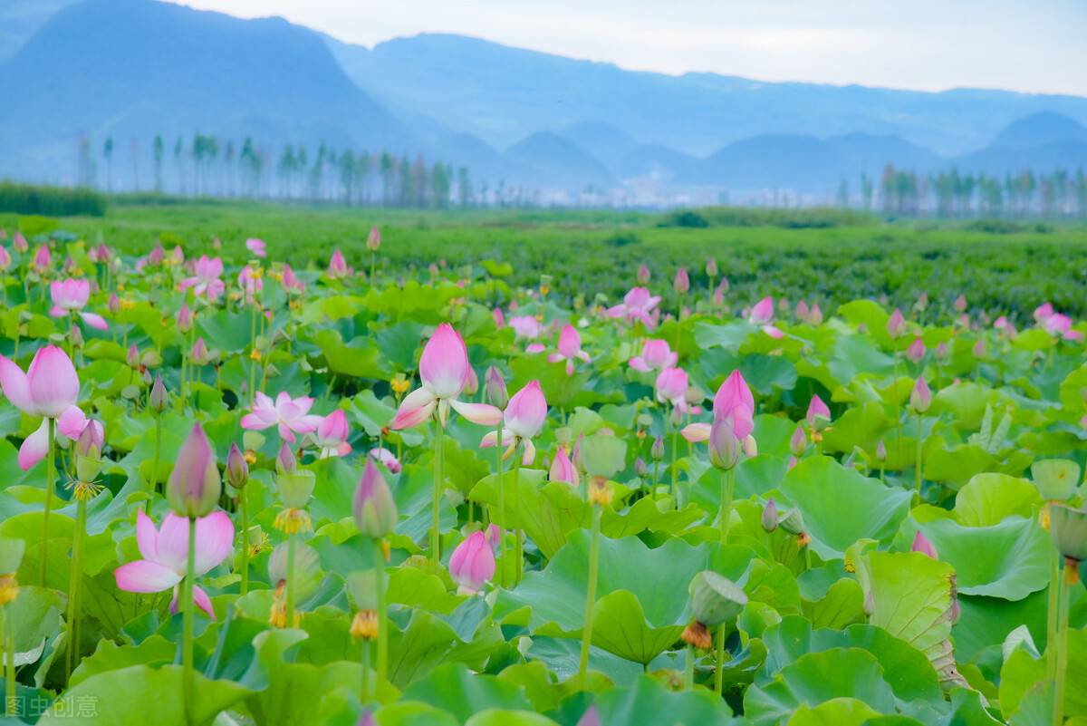 免门票的景区（国内这10个好玩又不收门票的5A景区）-52