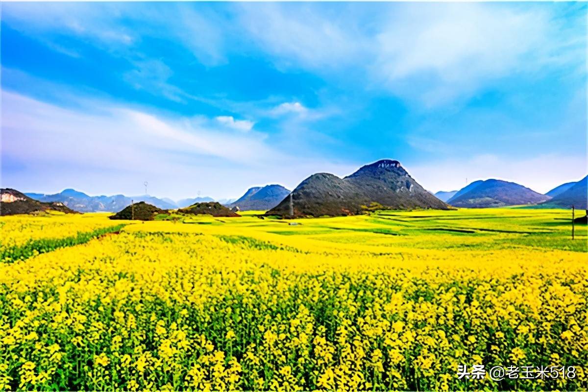 春季旅游攻略（春天最美的10条旅游路线）-19