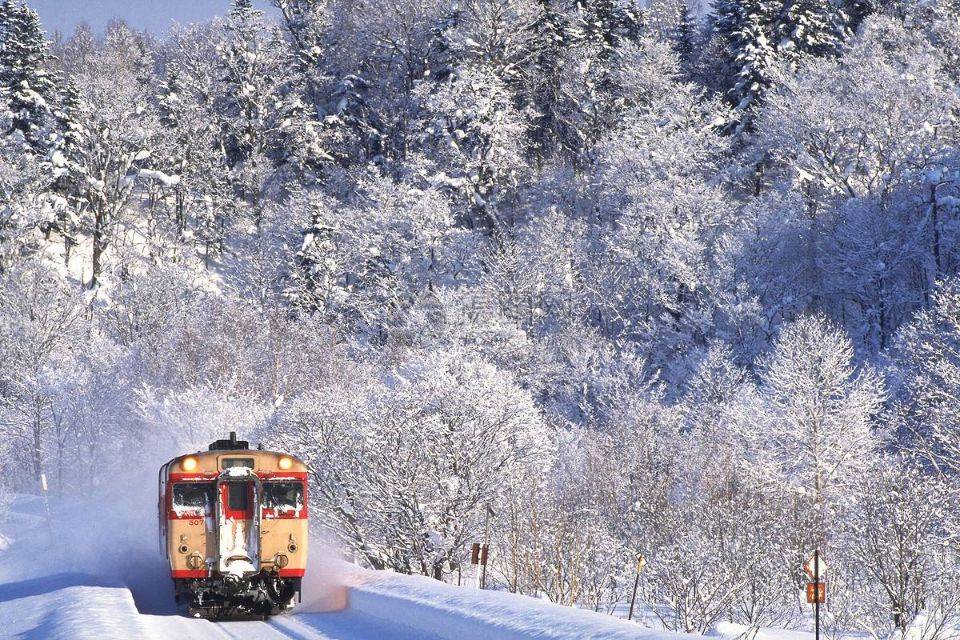 周公解梦梦见下雪（周公解梦：梦见大雪纷飞）-2