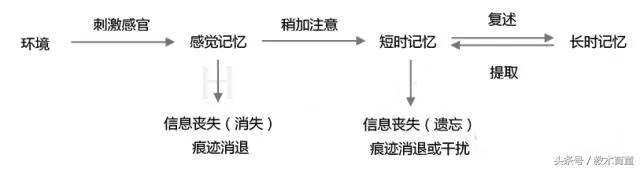 影响遗忘进程的因素（一个程序只能对应一个进程吗）