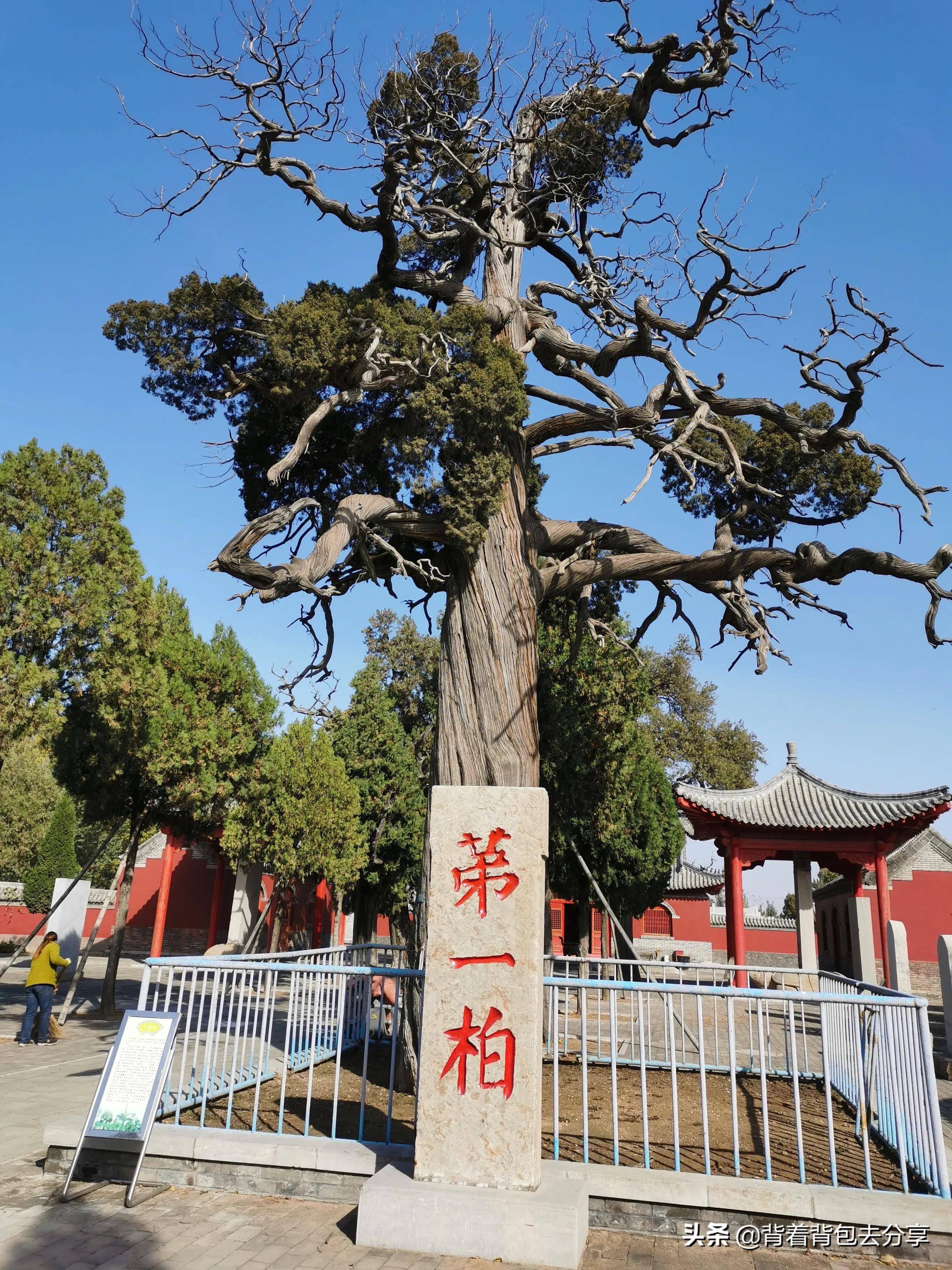 山东省内十大著名景区，去过七处，才算真正游过山东