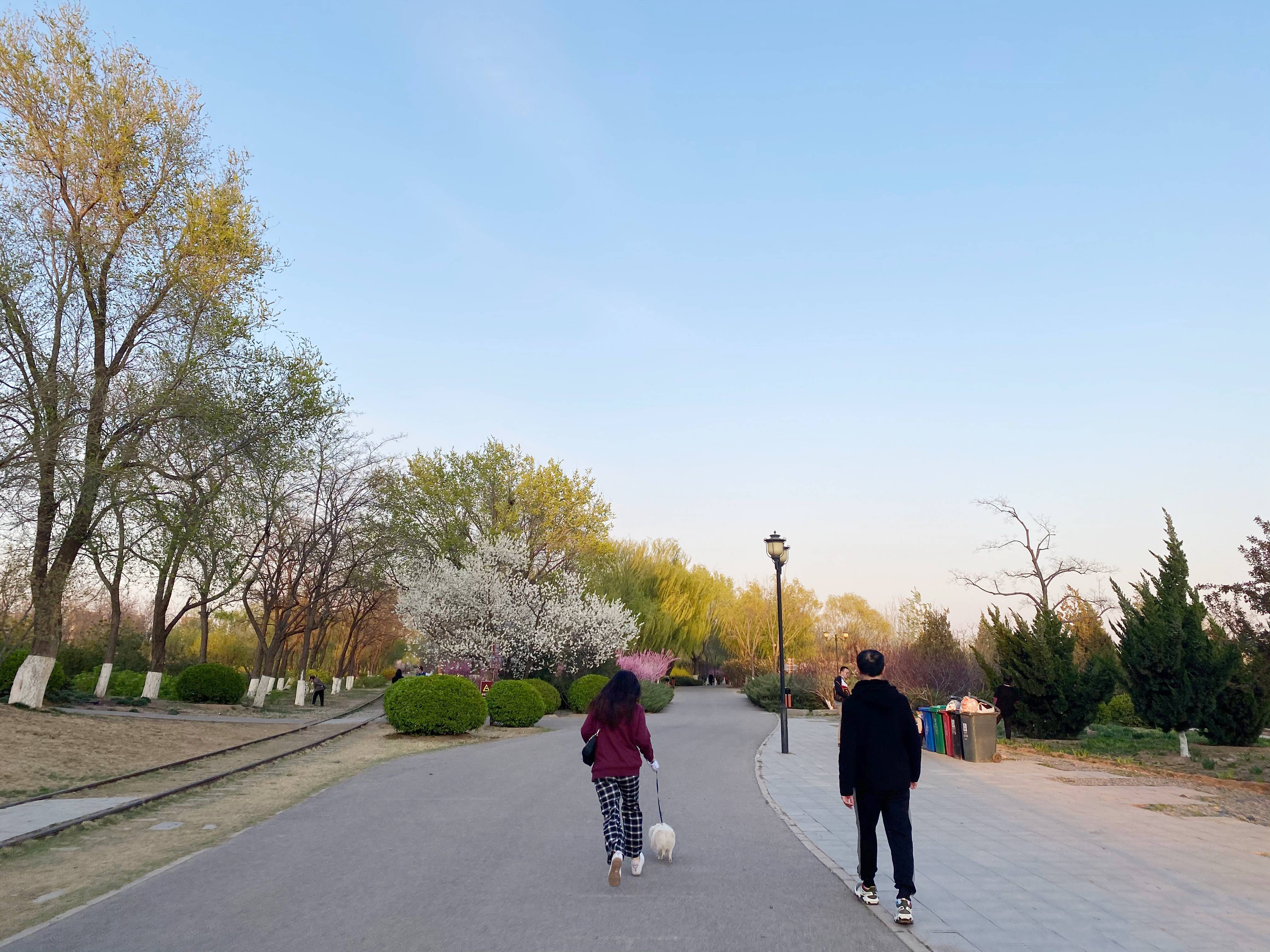 北京可以带宠物的7大公园，带着狗狗来散步，夏日避暑两不误
