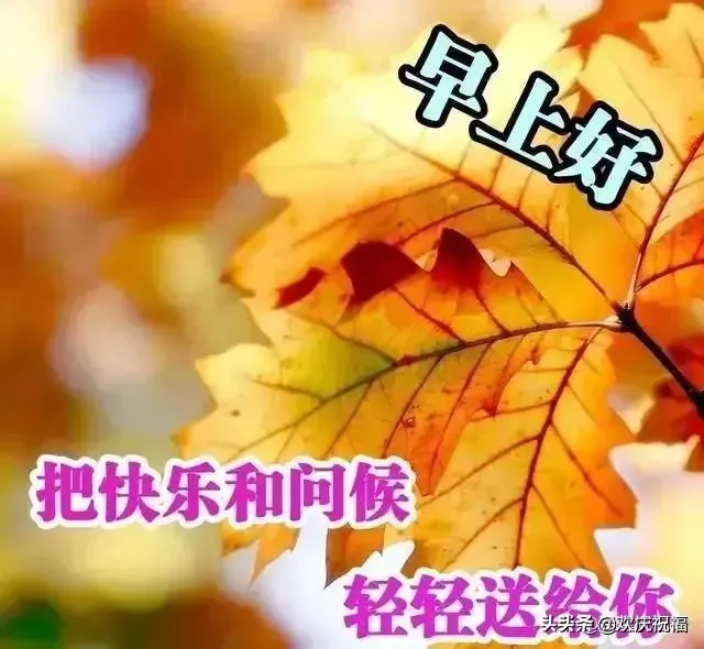 早晨问候朋友的暖心祝福语短信，最美的早安祝福图片