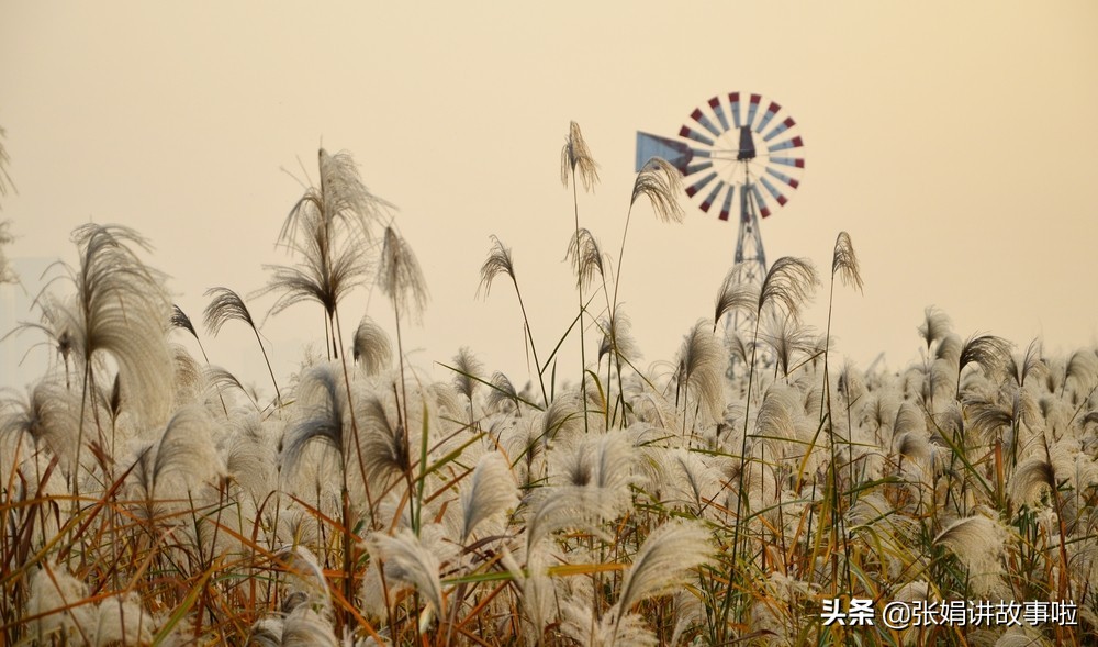 楚国辞赋家是谁（楚国是现在的什么地方）