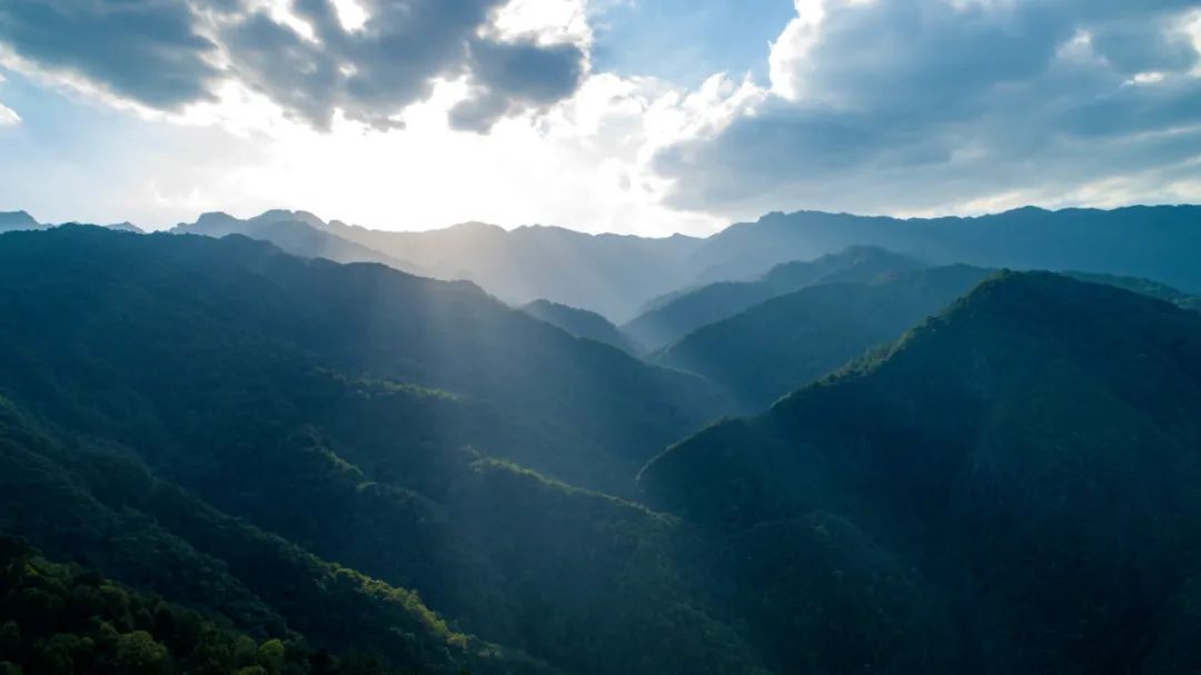 高黎贡山自然保护区（上帝的桥梁——高黎贡山）