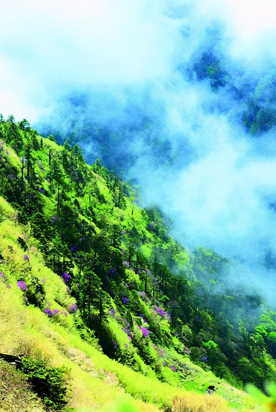 高黎贡山自然保护区（上帝的桥梁——高黎贡山）