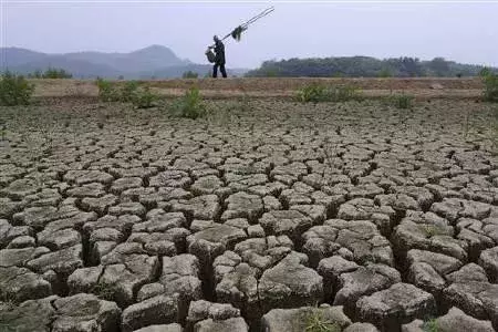 亩数怎么算计算公式（一亩地怎样计算怎样测量土地亩数）