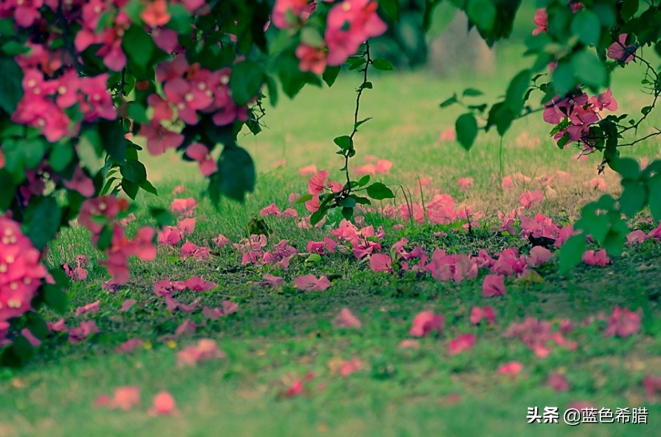 陌上花开什么意思（陌上花开,不负韶华解释含义）