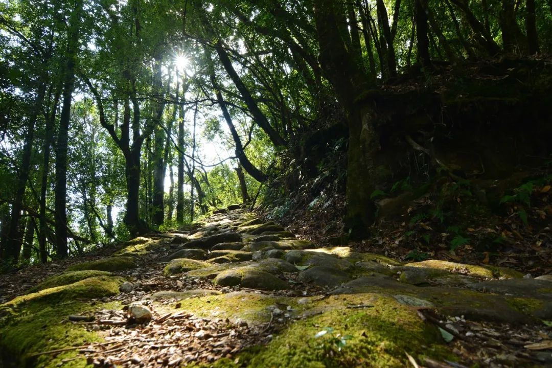 高黎贡山自然保护区（上帝的桥梁——高黎贡山）