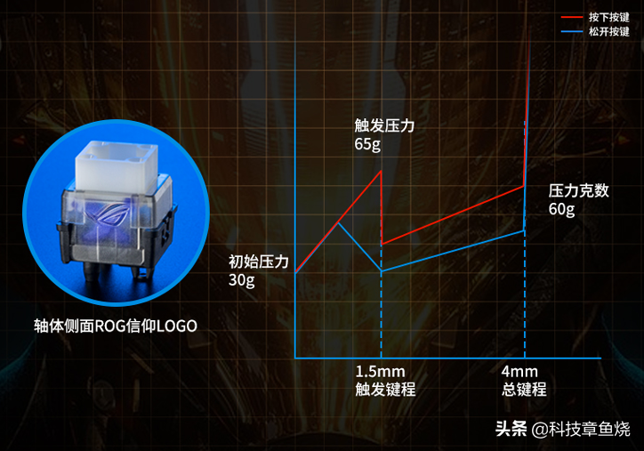 cherry青轴多少钱一个（cherry青轴参数）