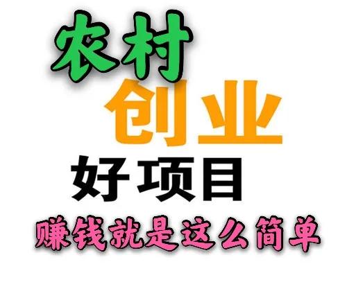 农村致富种值项目有哪些（适合穷人没本钱的养殖）