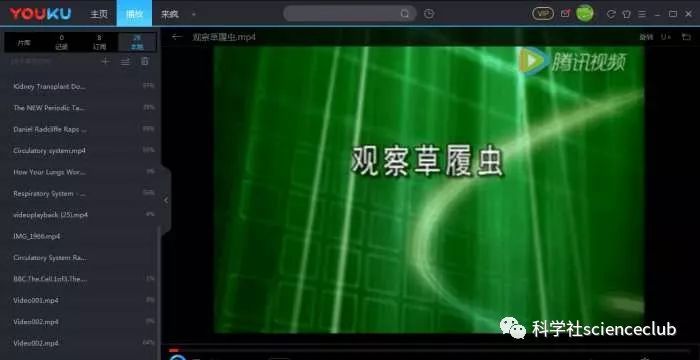 qlv格式转换成mp4转换器（腾讯qlv转换mp4最简单方法）