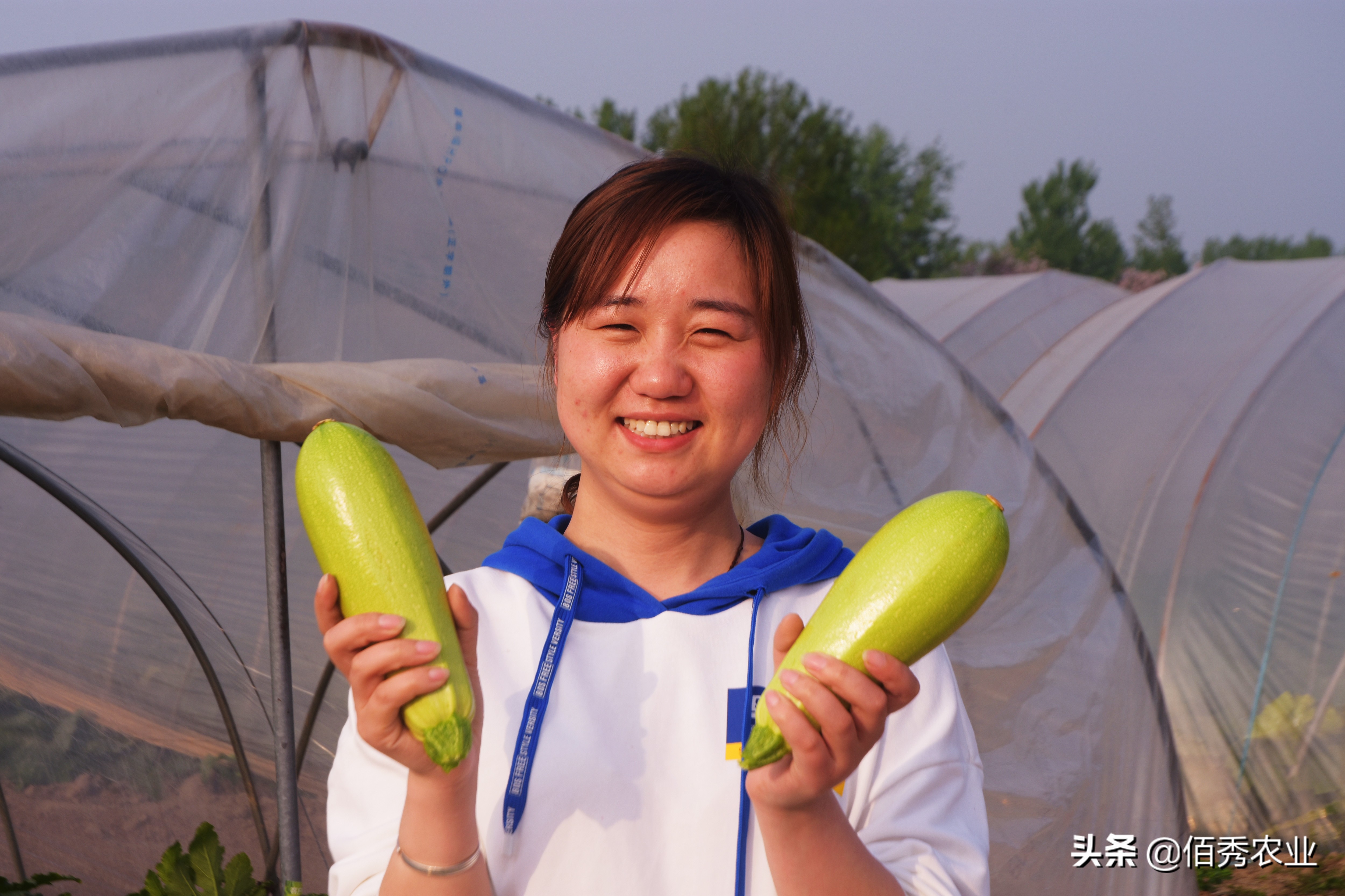 农作物种植什么赚钱（五大赚钱作物盘点）