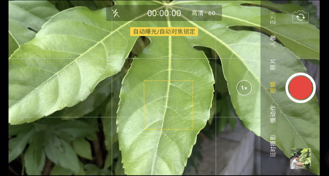 视频拍摄技巧入门教程（摄影入门基础知识盘点）