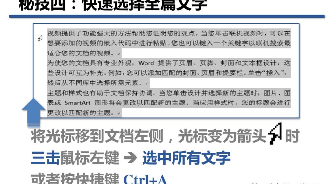 word文档怎么全选文字复制（word文档分页符）