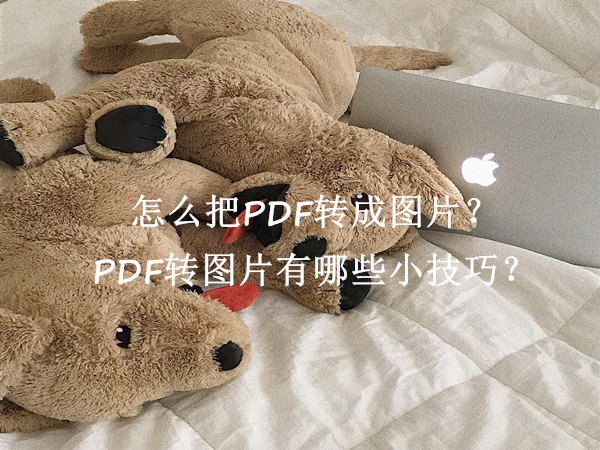 pdf转换成照片格式（同时打开多个pdf文件）